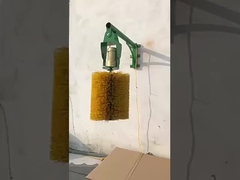 Horizontale positie PP Nylon Automatische vee-schraapborstels