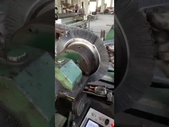 Sprial Rotary Inward Cleaning Inner Ring Inner SS Messing Spiral Wound Coil Brushes